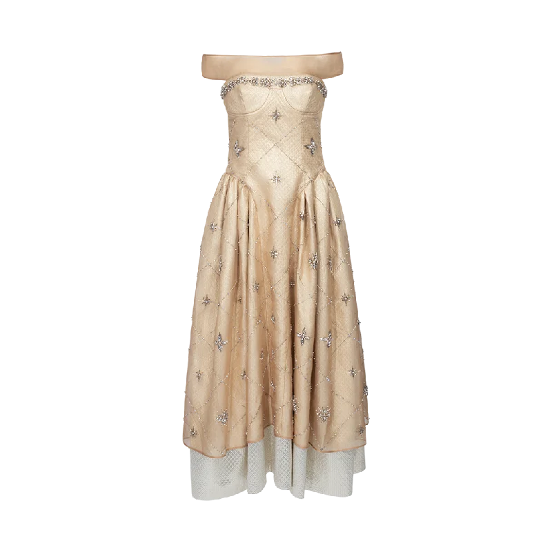 Trina Organza Dress Tunics Stylish modern